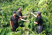Agricultural exports in 2024 to exceed 60 billion USD?