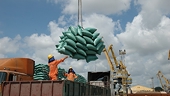 What needs to be done to regain growth in rice exports to China?