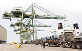 Trade remedies protect domestic industries
