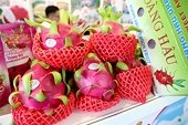 Vietnam's fruit and vegetable exports on track for stronger growth in 2025