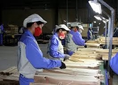 Wood enterprises create 'chopsticks bundle' strength to respond to defense