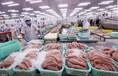 Aquatic exports face fresh hurdles despite impressive performance last year