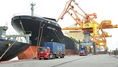 Vietnam works to open new export markets