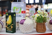 Trade promotion springboard for export acceleration