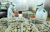 Businesses advised to expand exports to EU via official channels