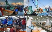How are fluctuations in the US and Chinese markets affecting Vietnam's seafood exports?
