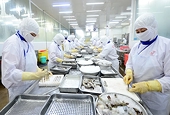 Maintaining key agricultural export markets