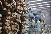 Vietnamese steel enterprises should wait for clarification of US tariff policy: trade official