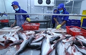 Pangasius exports expected to grow 5-10%
