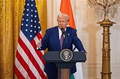 Trump says he will introduce 25% tariffs on autos, pharmaceuticals and chips
