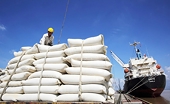 Vietnam strengthens rice exports to the Philippines amid trade growth