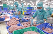 Japan remains Vietnam’s largest seafood export market