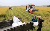 Agriculture exports under impacts of US, EU tariffs