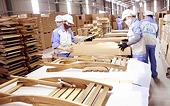 Diversify markets, expand space for wood exports
