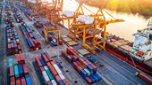 Responding to new trade policies