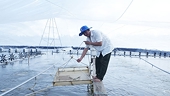 Vietnam recognized for top shrimp processing technology