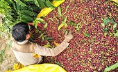 Việt Nam has many opportunities to expand export in Russia