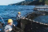 Vietnam’s fisheries sector innovates production, seizes opportunities from new export markets