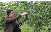 Vietnam signs export protocols for chili, passion fruit, bird’s nest with China