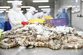 Shrimp Exports: Need to Build Brand Linked to Quality