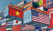 Vietnam works to ensure uninterrupted 'trade flow' to US