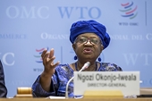 WTO chief says free trade facing 'challenging times'