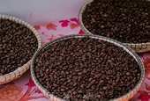 Quality, branding, sustainability essential for Vietnamese coffee to go global
