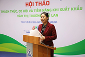 Vietnamese firms face trade barriers set by Thai market