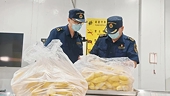 Vietnam's durian gets a second wind