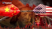 Trade war expected to continue, businesses adopt 'wait and see' approach