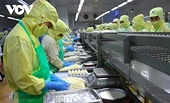 Three scenarios for Vietnamese seafood exports under US reciprocal tariffs