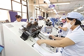 Vietnamese businesses navigate US tariffs