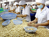 Ample room for trade growth between Vietnam and Russia, Belarus