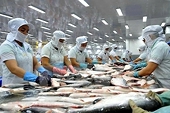 Vietnam – a trusted global trade partner and strategic supply chain hub