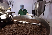 Agricultural, forestry and fishery exports accelerated to reach $65 billion target