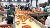 Viet Nam’s agriculture determined to achieve 65 billion USD export target