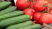 Ukraine applies anti-dumping measures against Turkish cucumbers and tomatoes
