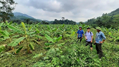 Cooperatives - the "key" to unlock billion-dollar agricultural exports