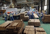 Wood and wood product exports continue to grow amid tariff uncertainty