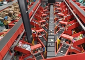 Vietnam pushes cross-border e-commerce as pillar of export strategy