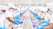 Opportunity for restructuring Viet Nam’s tra fish industry