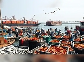 India's seafood exports gain competitive edge over Singapore and Vietnam with new UK trade deal