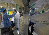 Exporters urge VAT exemption for green coffee beans and rice