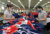 EVFTA fuels growth but demands more to unlock full potential