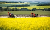 Alberta responds to 75.8% Chinese tariffs on Canadian canola
