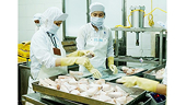 US reciprocal tariff tests Vietnamese businesses