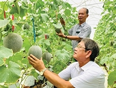 Diversification lends to turnover advances