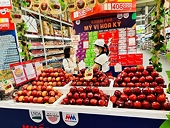 Rising US fruit imports find fresh favour in Việt Nam