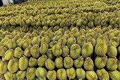 The volume of vehicles carrying agricultural products for export has increased dramatically.