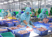 Aquatic sector advised to navigate challenges, secure exports to EU, US markets